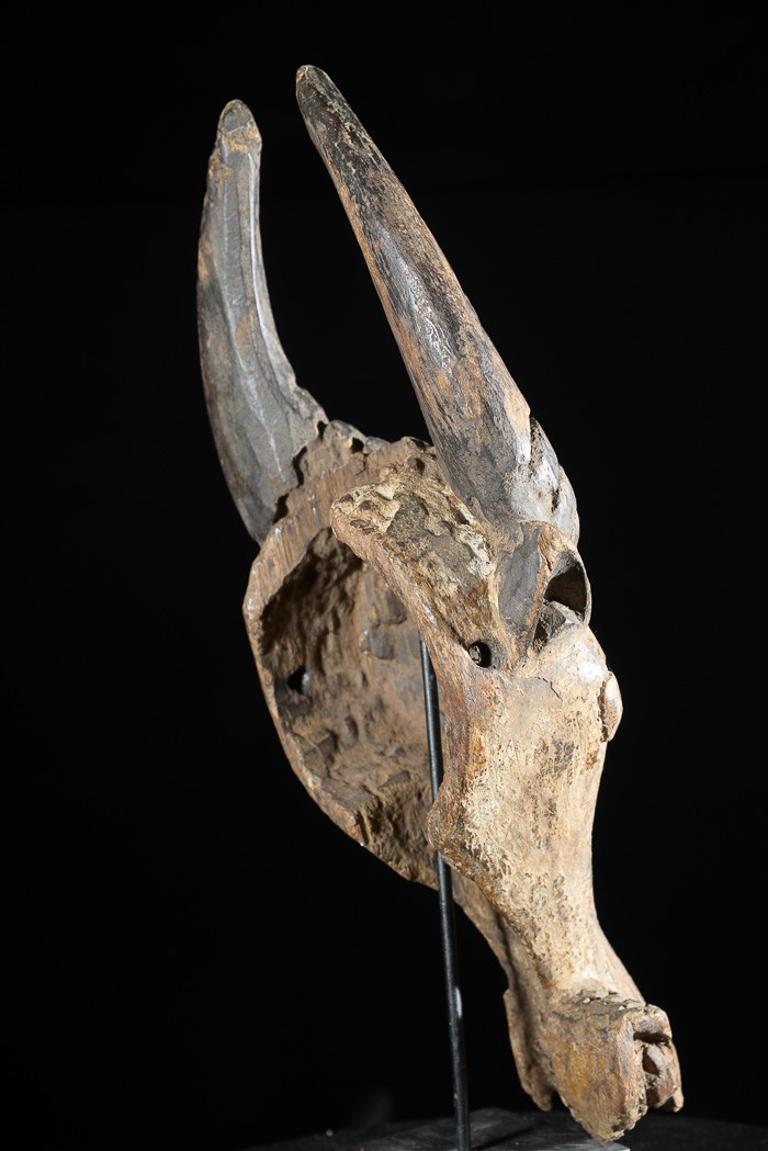Masque zoomorphe Buffle - Bamoun / Babungo - Cameroun