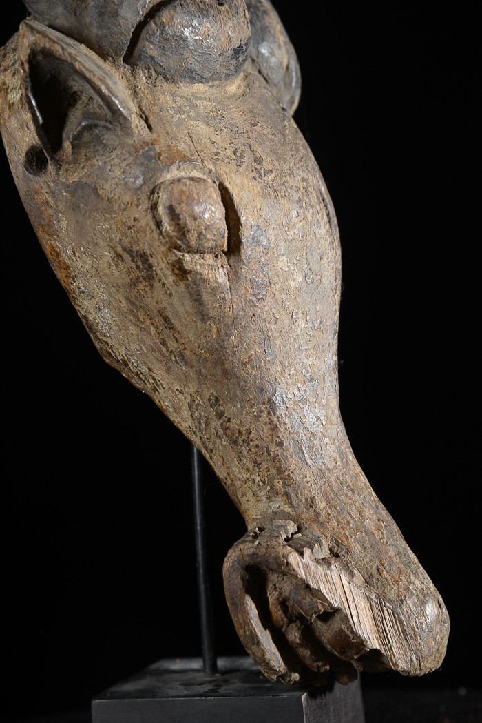 Masque zoomorphe Buffle - Bamoun / Babungo - Cameroun