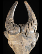Masque zoomorphe Buffle - Bamoun / Babungo - Cameroun