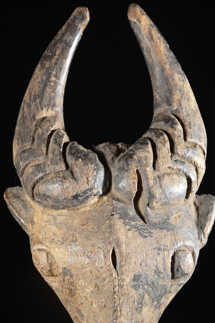 Masque zoomorphe Buffle - Bamoun / Babungo - Cameroun