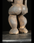 Singe Ngil - Bulu / Boulou - Cameroun