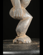 Singe Ngil - Bulu / Boulou - Cameroun