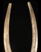 Grand masque Molo - Mossi / Gurunsi - Burkina Faso