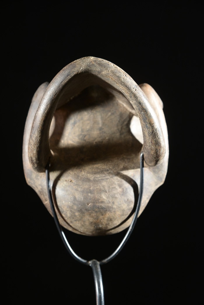 Crâne Singe Ngi - Bulu / Boulou - Cameroun