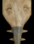 Masque cimier requin-scie - Bidjogo - Guinée Bissau