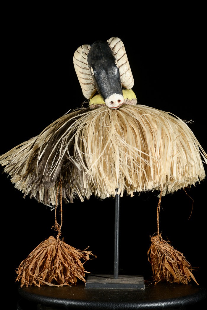 Casque cimier zoomorphe  - Bidjogo - Guinée Bissau