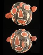 Tête Atwontzen - Bamileke - Cameroun