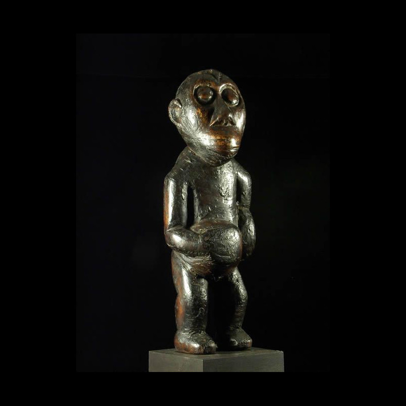Singe Ngil - Bulu / Boulou - Cameroun