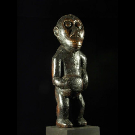 Singe Ngil - Bulu / Boulou - Cameroun