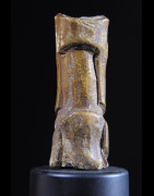 Figurine en os Bovin - Lega - RDC Zaire - Sculptures en os