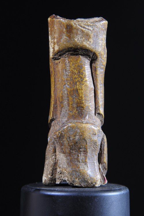 Figurine en os Bovin - Lega - RDC Zaire - Sculptures en os