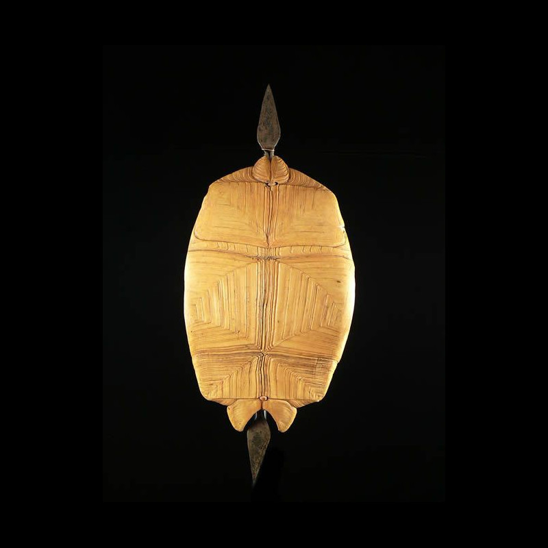 Bouclier en carapace - Dinka - Soudan - Boucliers