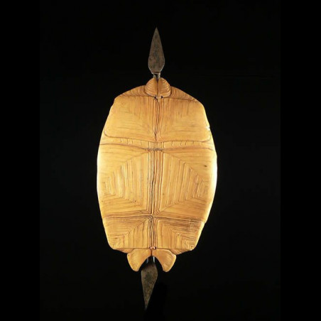 Bouclier en carapace - Dinka - Soudan - Boucliers