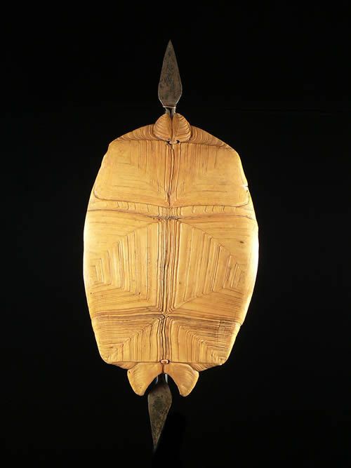 Bouclier en carapace - Dinka - Soudan - Boucliers