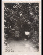 Photos Restany - Tirages originaux - Cameroun 1920/30