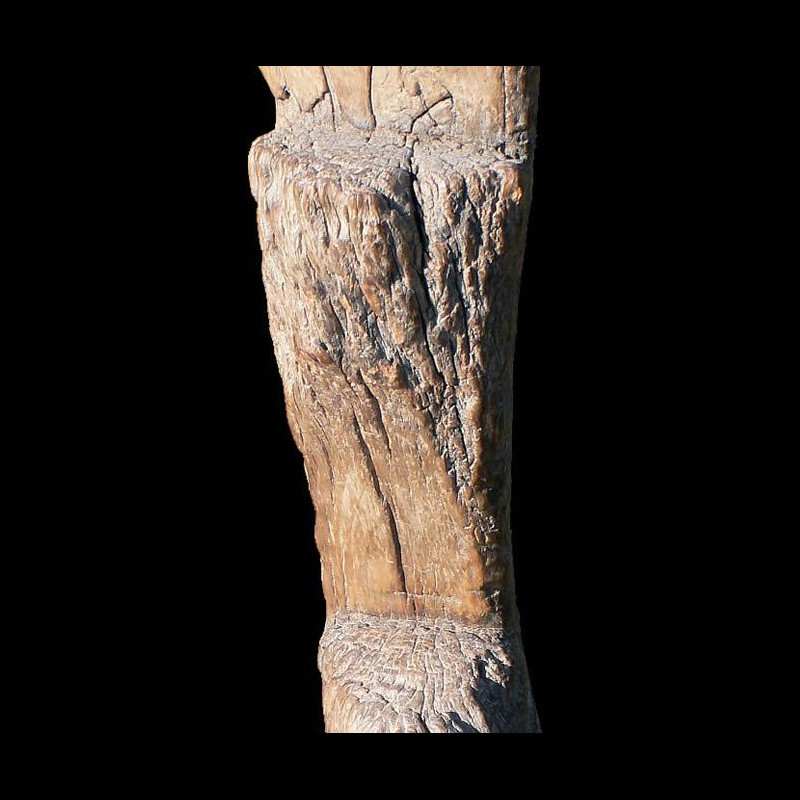 Echelle de grenier a cereales - Dogon / Lobi - Mali - Afrique