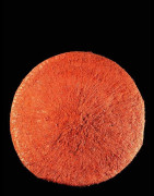 Coiffe Inhloko ancienne - Zoulou - Afrique du sud - Coiffes