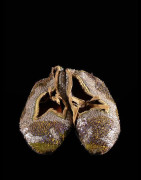 Egun - Chaussons de danse - Yoruba - Benin / Nigeria - Egungun