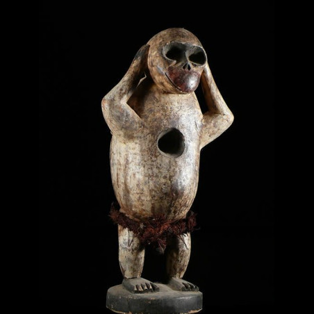 Singe Ngil - Bulu / Boulou - Cameroun