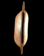 Tambour a fente Igogo - Mangbetu - RDC Zaire - Idiophones