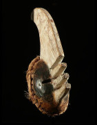 Masque mma ji - Igbo/ Afikpo - Nigeria
