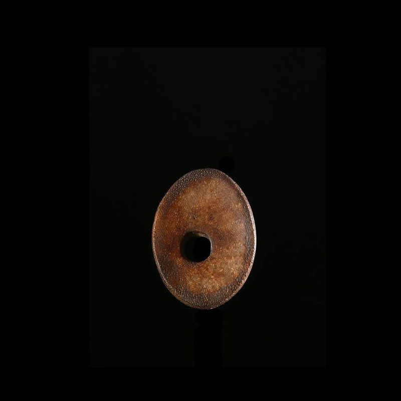 Labret en os - Pokot - Kenya