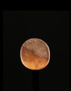 Labret en os - Pokot - Kenya