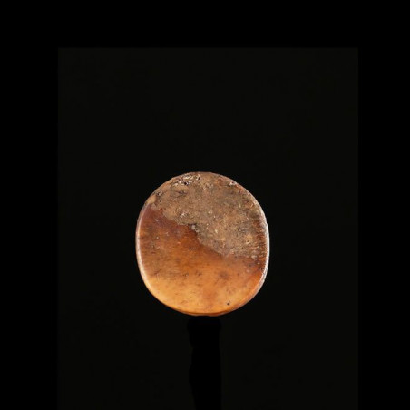 Labret en os - Pokot - Kenya