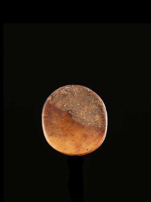 Labret en os - Pokot - Kenya