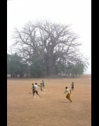 Perigot - Tirage numerique - Foot Baobab