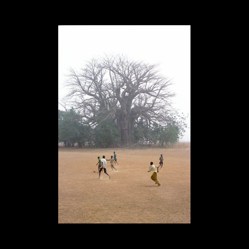 Perigot - Tirage numerique - Foot Baobab