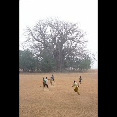 Perigot - Tirage numerique - Foot Baobab