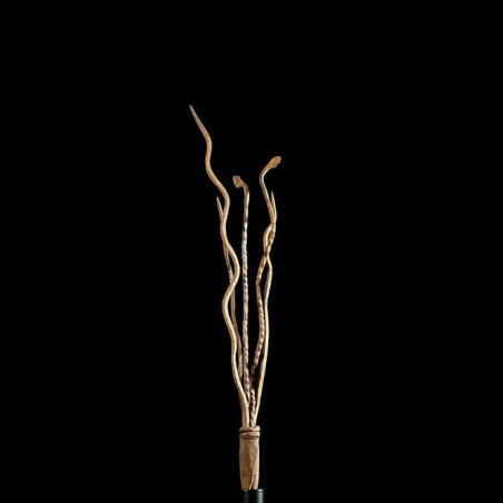 Monnaie primitive Serpent en fer noir - Mumuye - Nigeria