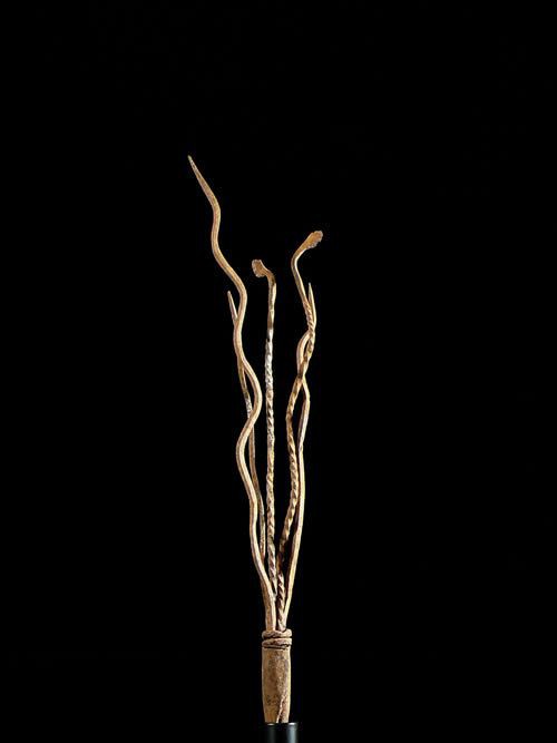 Monnaie primitive Serpent en fer noir - Mumuye - Nigeria