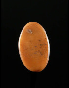 Labret en os - Pokot - Kenya