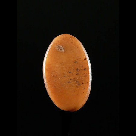 Labret en os - Pokot - Kenya