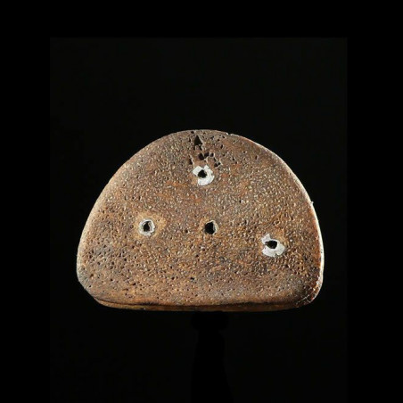 Labret en os - Mursi / Surma - Ethiopie