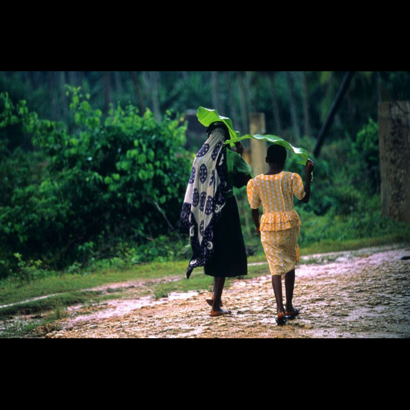 Jose Nicolas - Tirage photo numerote signe - Zanzibar