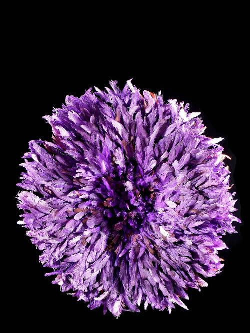 Coiffe Aka en plumes - Bamileke - Cameroun - Coiffes africaines