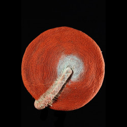 Coiffe Isicholo ancienne - Zoulou - Afrique du sud - Zulu