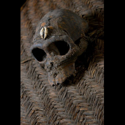 Bouclier en vannerie et crâne de singe - Pygmées Baka - Cameroun / Gabon
