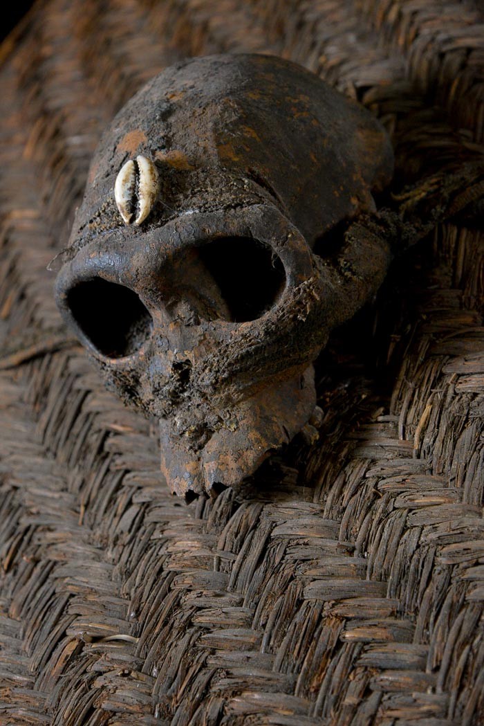Bouclier en vannerie et crâne de singe - Pygmées Baka - Cameroun / Gabon