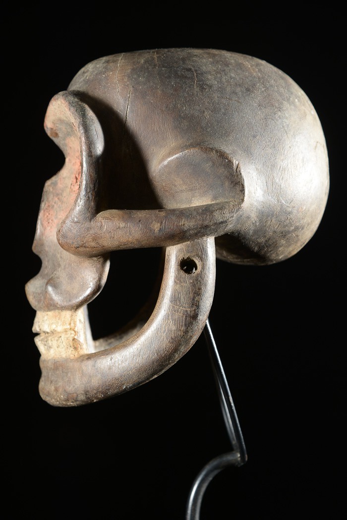 Crâne Singe Ngi - Bulu / Boulou - Cameroun