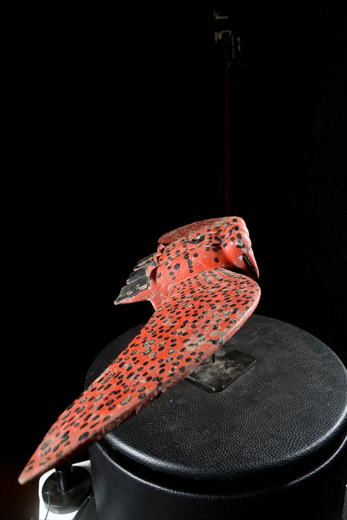 Canne oiseaux de champion cultivateur - Senoufo - Côte d'Ivoire