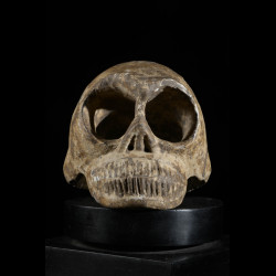 Masque d'autel Crâne - Jukun - Nigeria