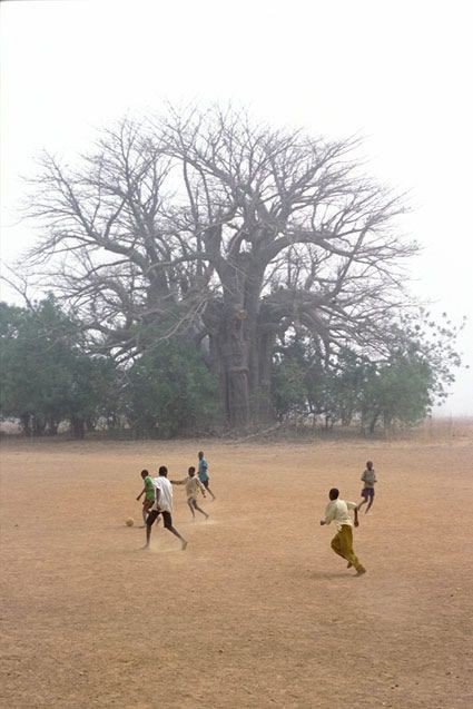 Perigot - Tirage numerique - Foot Baobab