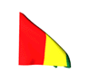 pays/guinee-flag.gif