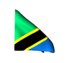 pays/tanzanie-flag.gif