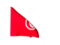 pays/tunisie-flag.gif