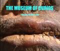 Livre : The museum of curios